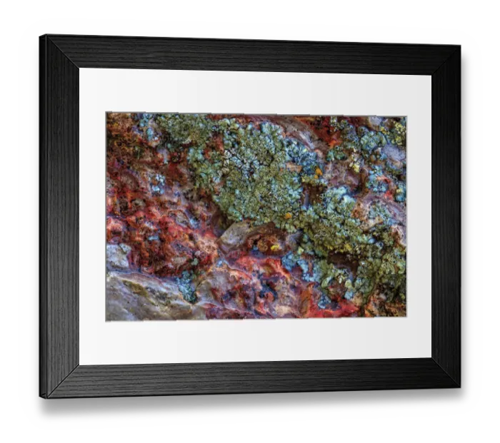 Framed Print : Large, naturally polished rock with lichen. Lower Deschutes River, Central Oregon, USA Framed Print : Large, naturally polished rock with lichen. Lower Deschutes River, Central Oregon, USA