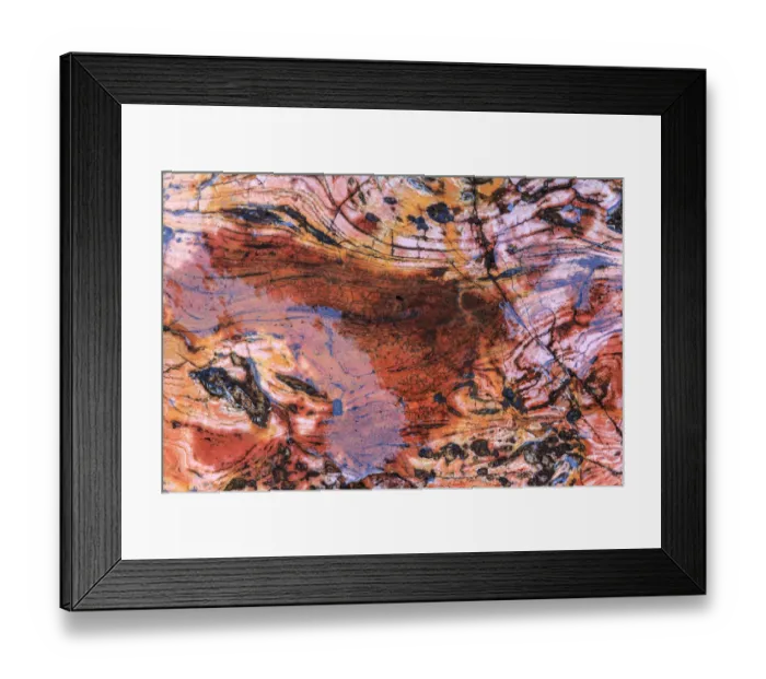 Framed Print : Large, naturally polished rock with lichen. Lower Deschutes River, Central Oregon, USA