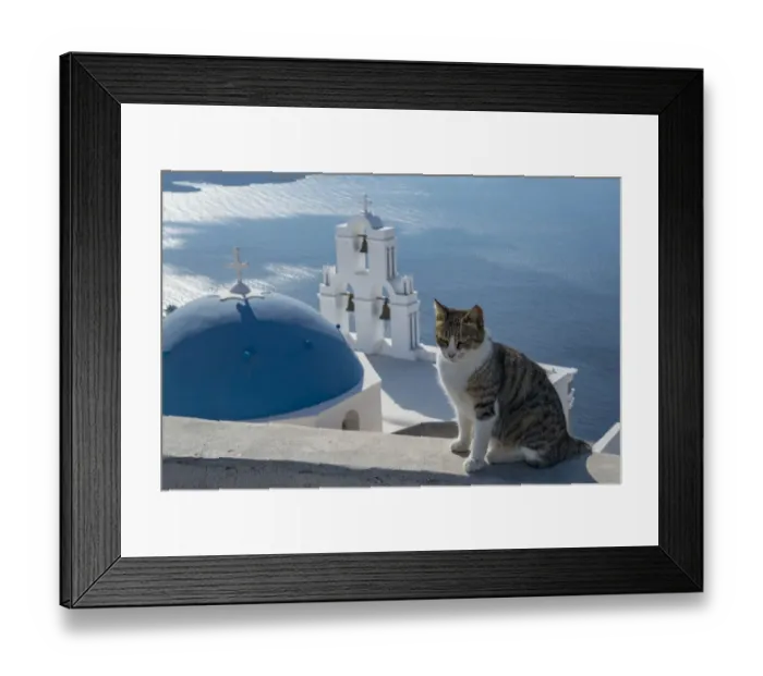 Framed Print : Greece, Santorini. Cat posing on the wall above the iconic Three Bells of Fira, a Framed Print : Greece, Santorini. Cat posing on the wall above the iconic Three Bells of Fira, a