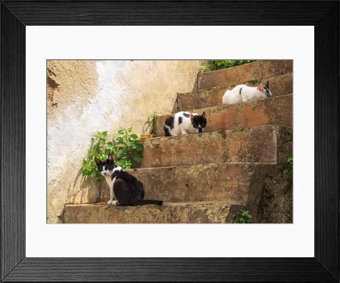 Framed Print : Spain, Balearic Islands, Mallorca, Santanyi, Cala Figuera