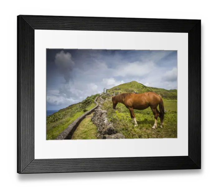 Framed Print : Portugal, Azores, Santa Maria Island, Maia. Horse in coastal pasture Framed Print : Portugal, Azores, Santa Maria Island, Maia. Horse in coastal pasture