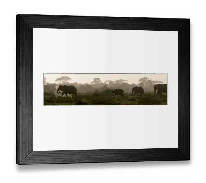 Framed Print : Africa, Kenya, Amboseli National Park. Elephants backlit at sunset