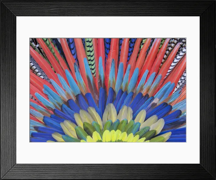 Framed Print : San Miguel De Allende, Mexico. Native feather headdress