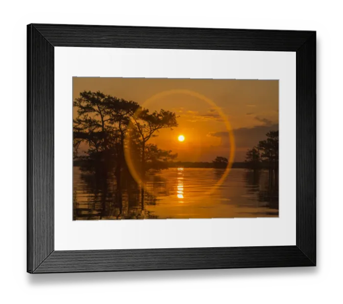 Framed Print : USA, Louisiana, Atchafalaya National Wildlife Refuge. Sunrise on swamp. Credit as Framed Print : USA, Louisiana, Atchafalaya National Wildlife Refuge. Sunrise on swamp. Credit as