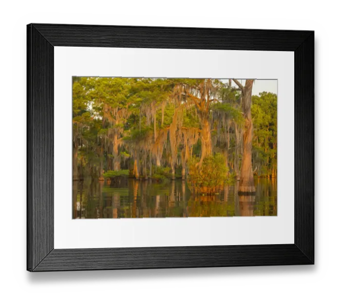 Framed Print : USA, Louisiana, Atchafalaya National Wildlife Refuge. Sunrise on swamp. Credit as