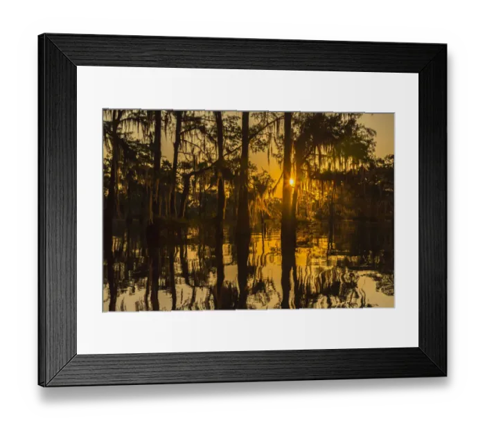 Framed Print : USA, Louisiana, Atchafalaya National Wildlife Refuge. Sunrise on swamp. Credit as Framed Print : USA, Louisiana, Atchafalaya National Wildlife Refuge. Sunrise on swamp. Credit as
