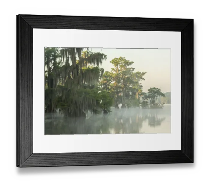 Framed Print : USA, Louisiana, Lake Martin. Foggy sunrise on swamp Framed Print : USA, Louisiana, Lake Martin. Foggy sunrise on swamp