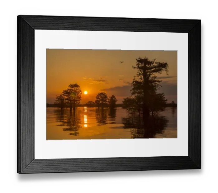 Framed Print : USA, Louisiana, Atchafalaya National Wildlife Refuge. Sunrise on swamp. Credit as