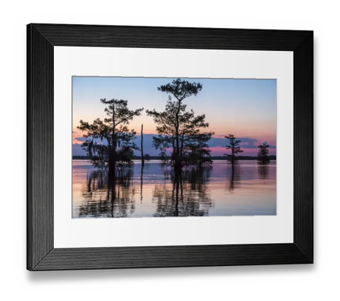 Framed Print : USA, Louisiana, Atchafalaya National Wildlife Refuge. Sunrise on swamp. Credit as Framed Print : USA, Louisiana, Atchafalaya National Wildlife Refuge. Sunrise on swamp. Credit as