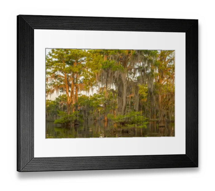 Framed Print : USA, Louisiana, Atchafalaya National Wildlife Refuge. Sunrise on swamp. Credit as