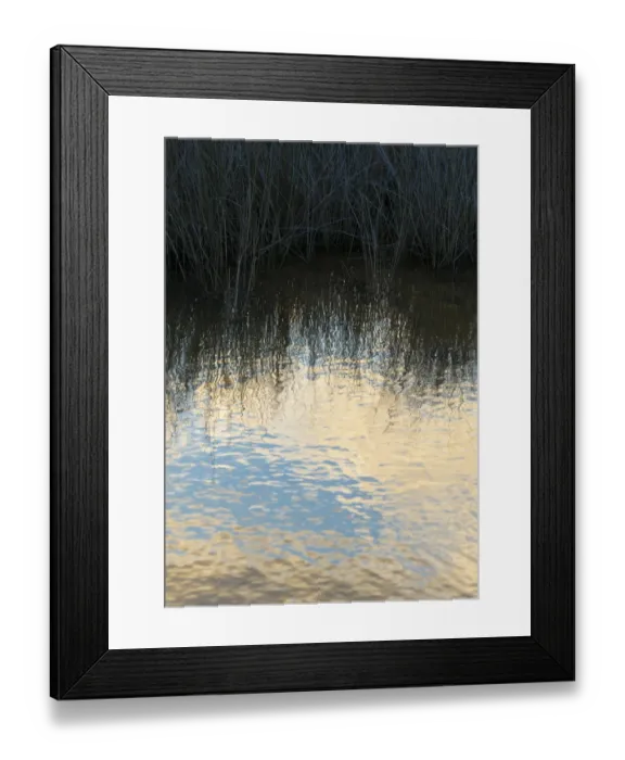 Framed Print : Reflections, Merritt Island National Wildlife Refuge, Titusville, Florida, USA