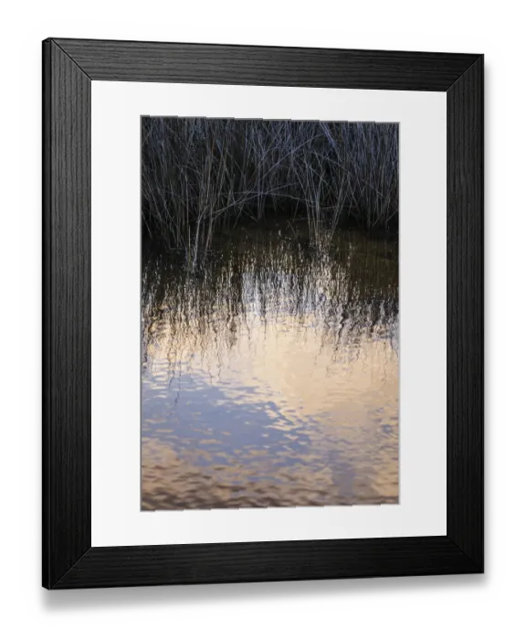 Framed Print : Reflections, Merritt Island National Wildlife Refuge, Titusville, Florida, USA Framed Print : Reflections, Merritt Island National Wildlife Refuge, Titusville, Florida, USA