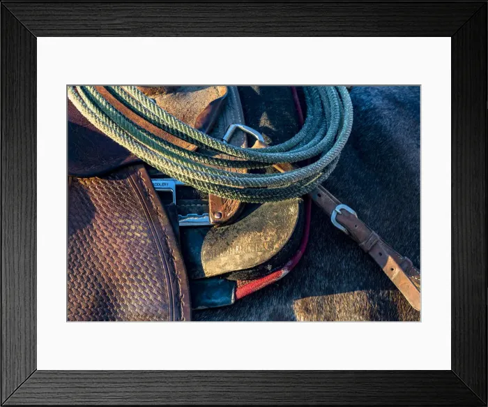 Framed Print : USA, California, Parkfield, V6 Ranch detail of a saddle and lasso Framed Print : USA, California, Parkfield, V6 Ranch detail of a saddle and lasso