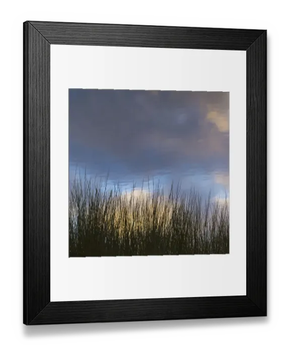 Framed Print : Reflections, Merritt Island National Wildlife Refuge, Titusville, Florida, USA Framed Print : Reflections, Merritt Island National Wildlife Refuge, Titusville, Florida, USA