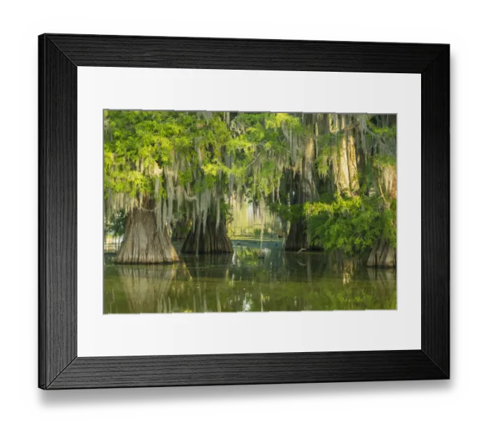 Framed Print : USA, Louisiana, Atchafalaya National Wildlife Refuge. Sunrise on swamp. Credit as Framed Print : USA, Louisiana, Atchafalaya National Wildlife Refuge. Sunrise on swamp. Credit as