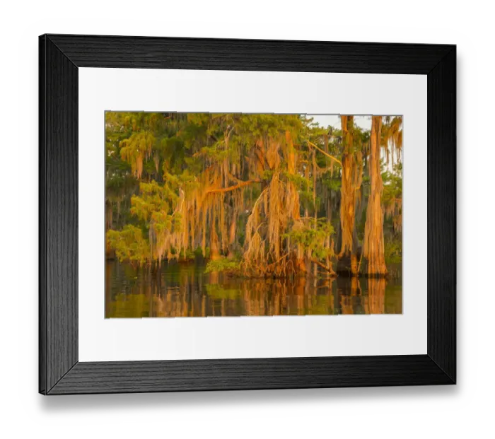 Framed Print : USA, Louisiana, Atchafalaya National Wildlife Refuge. Sunrise on swamp. Credit as
