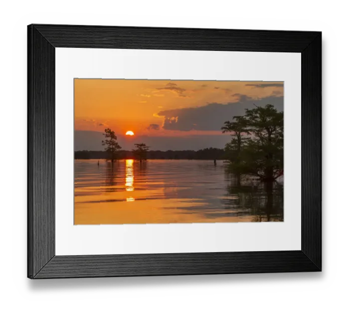 Framed Print : USA, Louisiana, Atchafalaya National Wildlife Refuge. Sunrise on swamp. Credit as