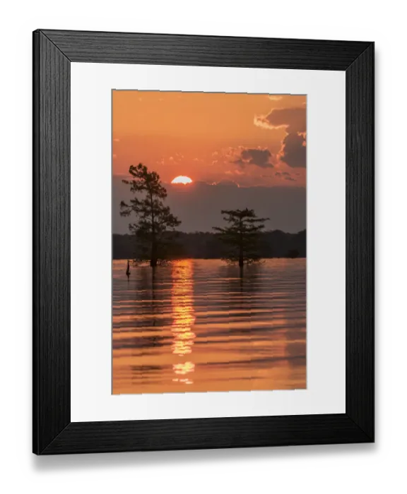 Framed Print : USA, Louisiana, Atchafalaya National Wildlife Refuge. Sunrise on swamp. Credit as
