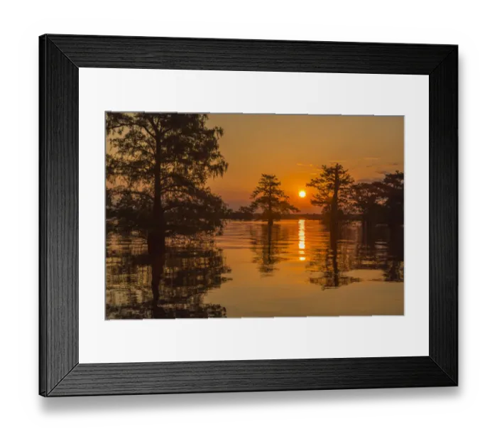 Framed Print : USA, Louisiana, Atchafalaya National Wildlife Refuge. Sunrise on swamp. Credit as