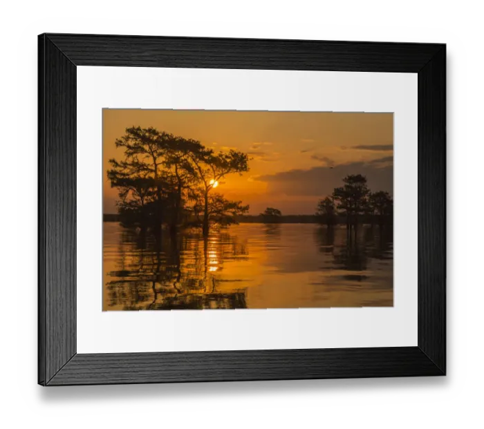 Framed Print : USA, Louisiana, Atchafalaya National Wildlife Refuge. Sunrise on swamp. Credit as Framed Print : USA, Louisiana, Atchafalaya National Wildlife Refuge. Sunrise on swamp. Credit as