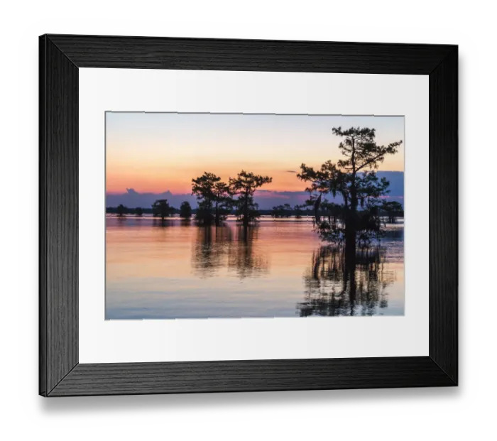 Framed Print : USA, Louisiana, Atchafalaya National Wildlife Refuge. Sunrise on swamp. Credit as
