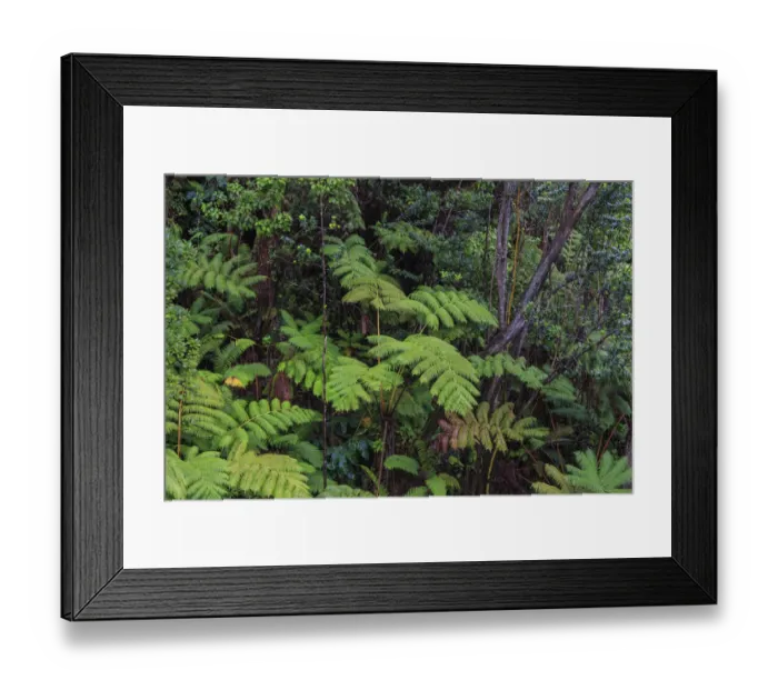 Framed Print : Thurston Lava Tube Trail, Hawaii Volcanoes National Park, Big Island, Hawaii