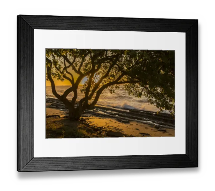 Framed Print : USA, Kauai, Wawalohi Beach Park. Sunset on ocean beach and trees Framed Print : USA, Kauai, Wawalohi Beach Park. Sunset on ocean beach and trees