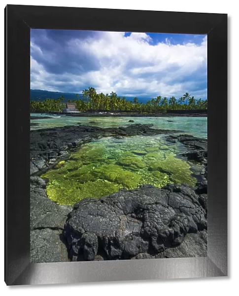 Coral reef and haiku, Pu uhonua O Honaunau National Historic Park (City of Refuge)