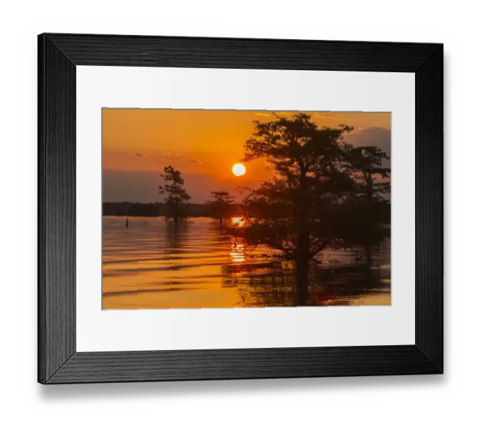 Framed Print : USA, Louisiana, Atchafalaya National Wildlife Refuge. Sunrise on swamp. Credit as Framed Print : USA, Louisiana, Atchafalaya National Wildlife Refuge. Sunrise on swamp. Credit as