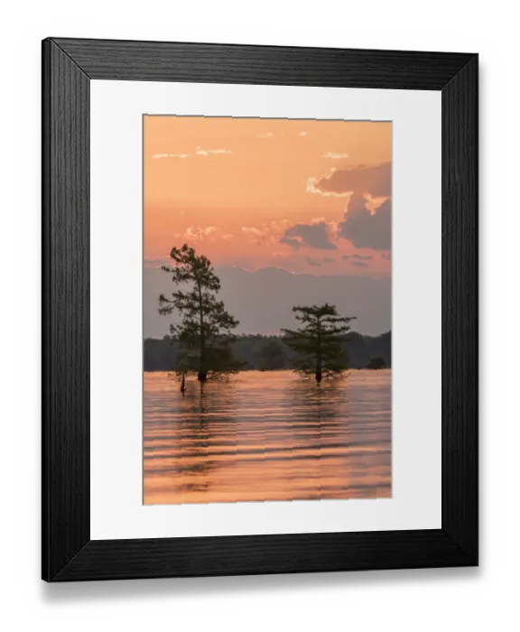 Framed Print : USA, Louisiana, Atchafalaya National Wildlife Refuge. Sunrise on swamp. Credit as Framed Print : USA, Louisiana, Atchafalaya National Wildlife Refuge. Sunrise on swamp. Credit as