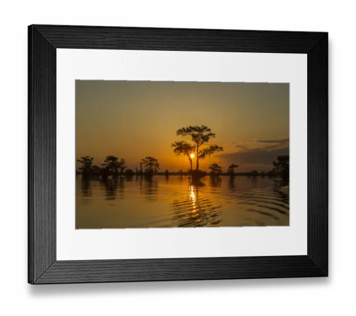 Framed Print : USA, Louisiana, Atchafalaya National Wildlife Refuge. Sunrise on swamp. Credit as Framed Print : USA, Louisiana, Atchafalaya National Wildlife Refuge. Sunrise on swamp. Credit as