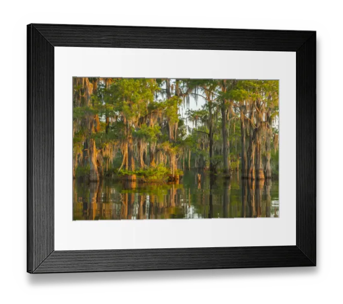 Framed Print : USA, Louisiana, Atchafalaya National Wildlife Refuge. Sunrise on swamp. Credit as