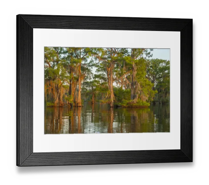 Framed Print : USA, Louisiana, Atchafalaya National Wildlife Refuge. Sunrise on swamp. Credit as