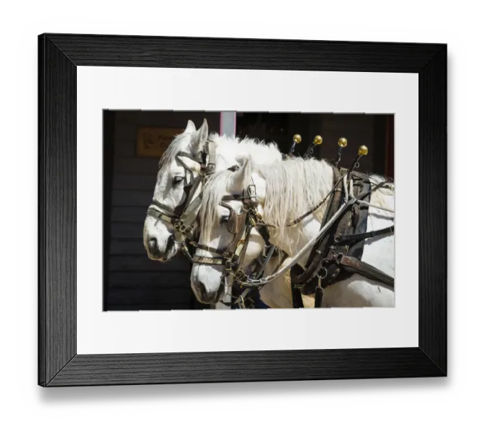 Framed Print : Horse-drawn stagecoach, Tombstone, Arizona, USA