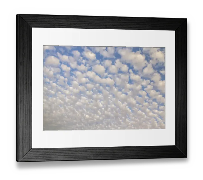Framed Print : USA, Arizona, Sonoran Desert. Morning cloud formations Framed Print : USA, Arizona, Sonoran Desert. Morning cloud formations
