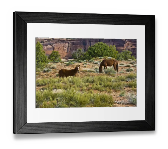 Framed Print : Indian ponies, free range, Canyon de Chelly, National Monument, Chinle, USA Framed Print : Indian ponies, free range, Canyon de Chelly, National Monument, Chinle, USA
