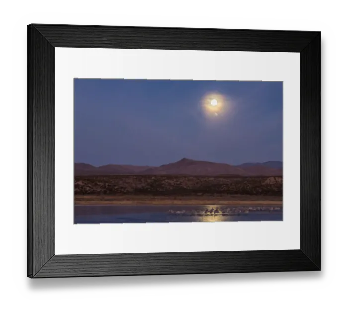Framed Print : USA, New Mexico, Bosque del Apache National Wildlife Refuge. Full moon and bird flocks