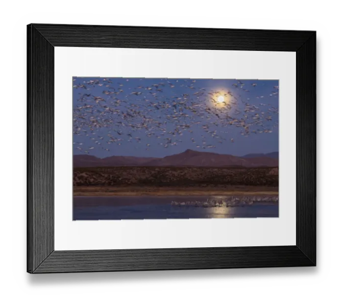 Framed Print : USA, New Mexico, Bosque del Apache National Wildlife Refuge. Full moon and bird flocks Framed Print : USA, New Mexico, Bosque del Apache National Wildlife Refuge. Full moon and bird flocks