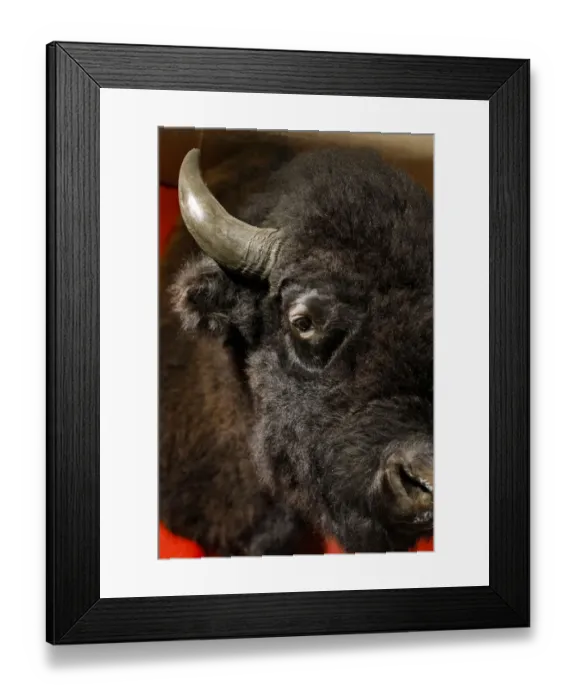 Framed Print : Taos, New Mexico, USA Framed Print : Taos, New Mexico, USA