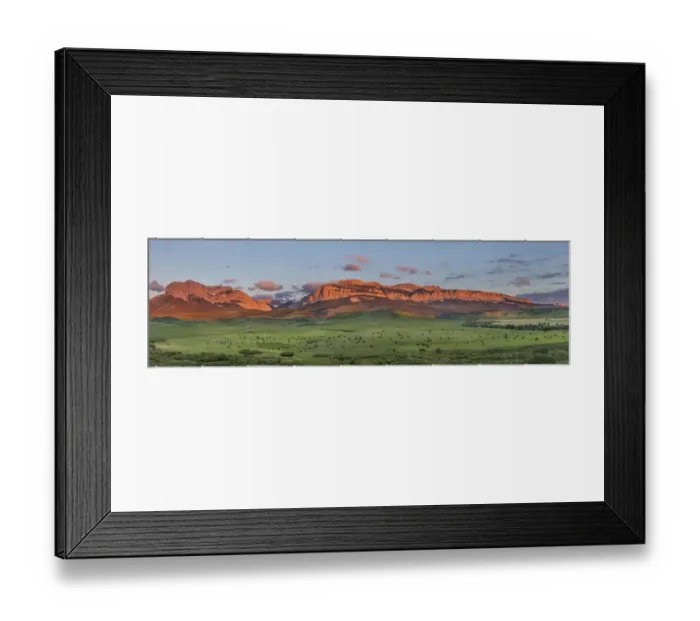 Framed Print : Beef cattle graze below Walling Reef on the Rocky Mountain Front at sunrise near Dupuyer Framed Print : Beef cattle graze below Walling Reef on the Rocky Mountain Front at sunrise near Dupuyer