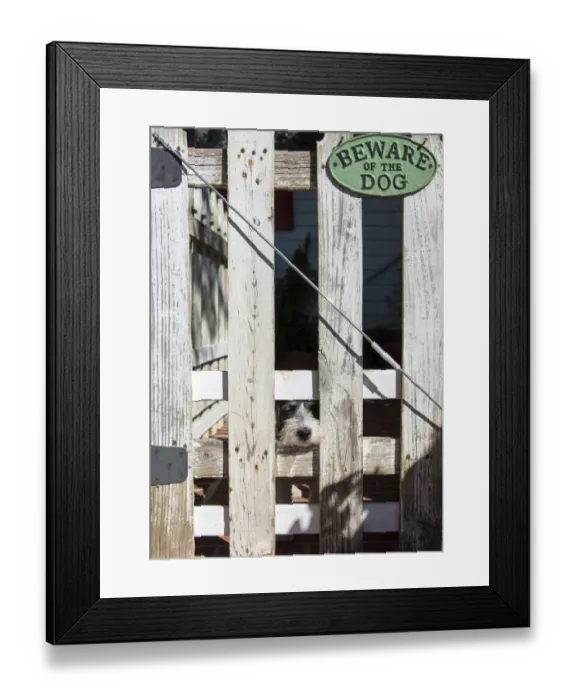 Framed Print : USA, Georgia. Humorous scene of innocent tame puppy under Beware of Dog sign Framed Print : USA, Georgia. Humorous scene of innocent tame puppy under Beware of Dog sign