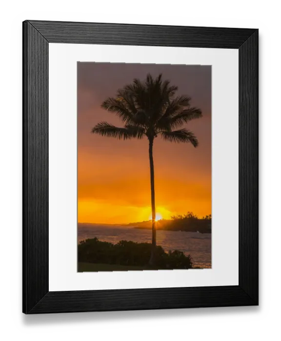 Framed Print : USA, Hawaii, Kauai, Lawai. Palm tree at sunset Framed Print : USA, Hawaii, Kauai, Lawai. Palm tree at sunset