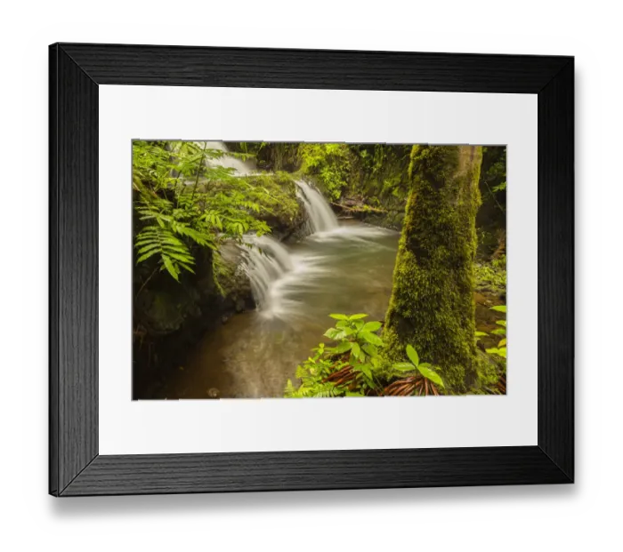 Framed Print : USA, Hawaii, Hawaii Tropical Botanical Garden Framed Print : USA, Hawaii, Hawaii Tropical Botanical Garden