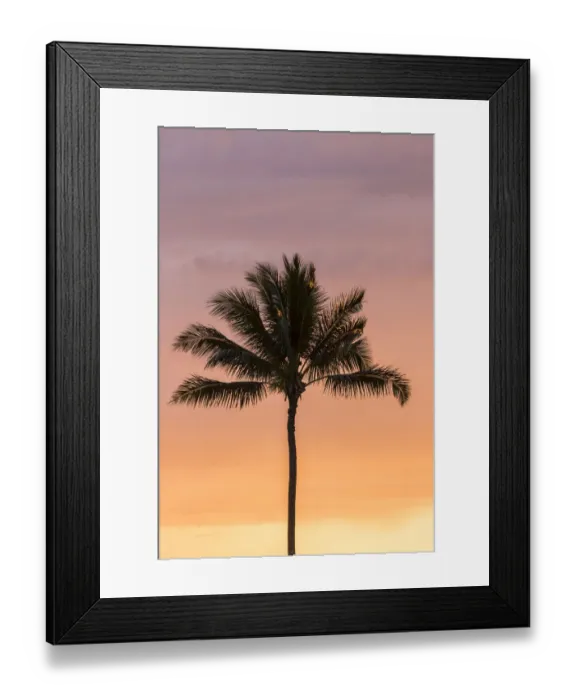 Framed Print : USA, Hawaii, Kauai, Lawai. Palm tree at sunset Framed Print : USA, Hawaii, Kauai, Lawai. Palm tree at sunset
