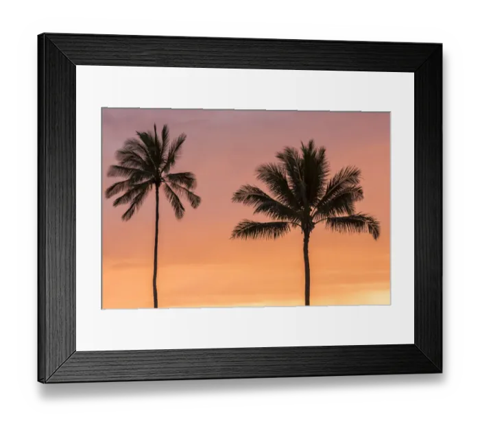 Framed Print : USA, Hawaii, Kauai, Lawai. Palm trees at sunset Framed Print : USA, Hawaii, Kauai, Lawai. Palm trees at sunset