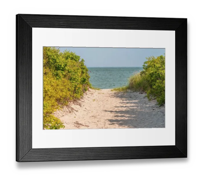 Framed Print : Beach path through trees. Padanaram, Dartmouth, Massachusetts Framed Print : Beach path through trees. Padanaram, Dartmouth, Massachusetts