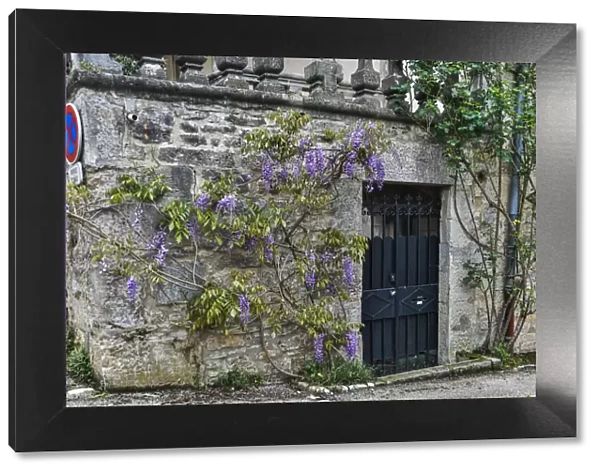 France, Cajarc. Wisteria covered stone wall and doorway