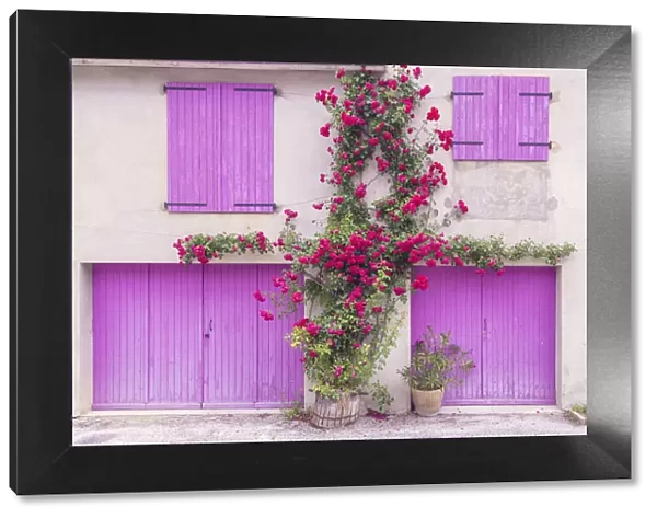 Europe, France, Provence. Colorful house facade