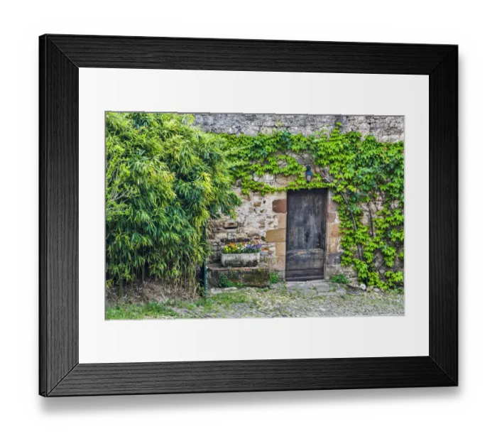 Framed Print : France, Cordes-sur-Ciel. Wooden doorway in vine covered stone wall Framed Print : France, Cordes-sur-Ciel. Wooden doorway in vine covered stone wall