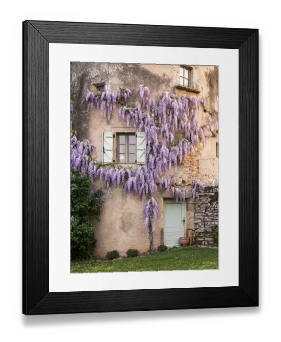 Framed Print : France, La Garrigue. Mas de Garrigue, wisteria growing on a turret of the home. (PR) Framed Print : France, La Garrigue. Mas de Garrigue, wisteria growing on a turret of the home. (PR)